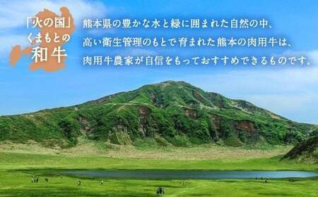 くまもと 黒毛和牛 ロース すき焼き用 400g 国産 和牛