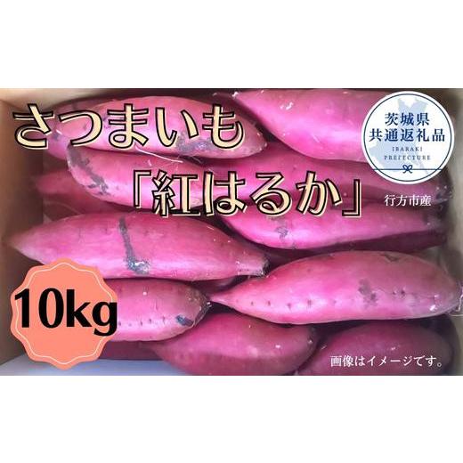 ふるさと納税 茨城県 鉾田市 さつまいも「紅はるか」10kg（茨城県共通返礼品／行方市産）