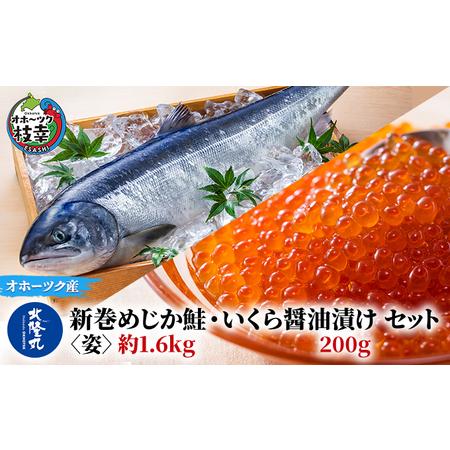 ふるさと納税 北隆丸 新巻めじか鮭〈姿〉約1.6kg・いくら醤油漬け200gセット オホーツク枝幸産 北海道枝幸町