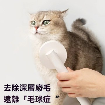 🌈PEt✨貓梳 寵物梳 除毛梳 廢毛梳 貓咪梳 梳毛 貓毛梳 寵物針梳 貓狗深層去毛梳