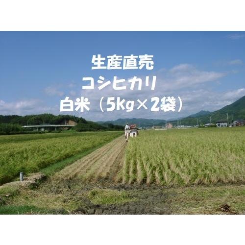 令和４年産新米 コシヒカリ 白米 10kg(5kg×2袋) 分搗き米対応