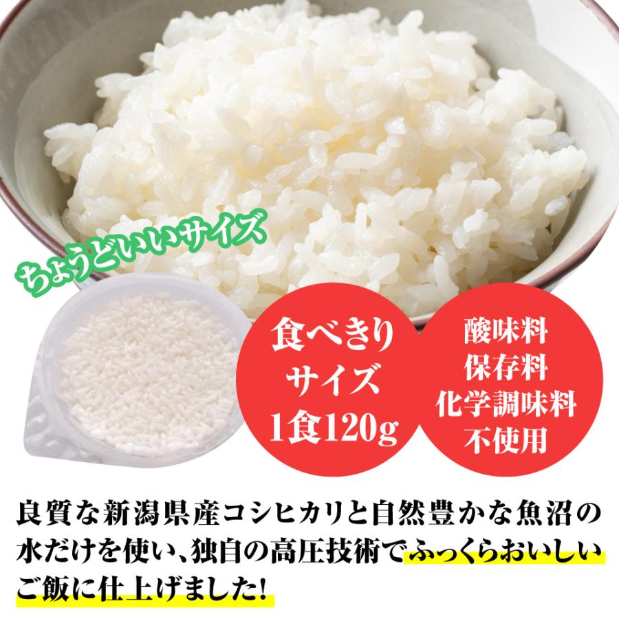 越後製菓 日本のごはん 120g×6袋入  パックごはん レトルトご飯 ごはん レトルト ご飯 米 新潟県産　ポスト投函便