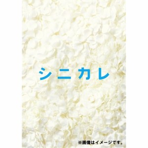 シニカレ完全版 DVD-BOX 