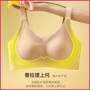 秋鹿防下垂胸托矯正內衣無痕收副乳聚攏小胸固定杯提拉文胸罩透氣 EGHI
