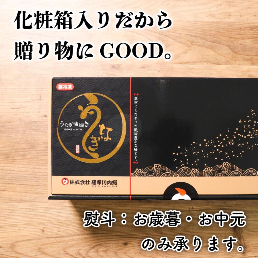 鹿児島県産鰻長蒲焼セット2尾 無頭長蒲焼き真空(添付タレ山椒付×2・しおり１枚）