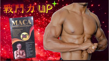 開機神器 安博氏 美國MACA雄寶膠囊 頂級馬卡 60顆 人生活的精采~每日活力四射