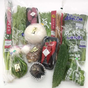 沖縄県・京都府・（滋賀県・兵庫県）産野菜10品以上のセット野菜詰め合せ 野菜 詰合せ 京野菜