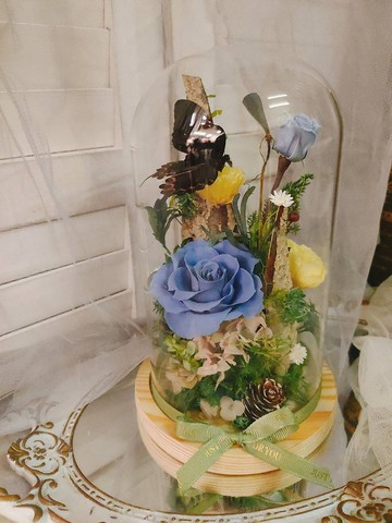 【蕎翎工作室】蝴蝶森林花盅 蝴蝶標本玻璃花盅 客製化