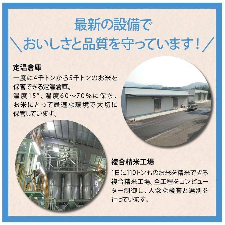 棚田米 令和5年産 熊本県こしひかり精米 5kg