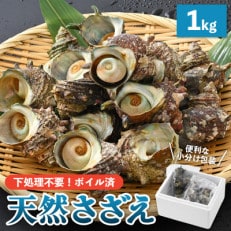 産地直送!天然さざえ ボイル済 1kg(500g × 2袋)