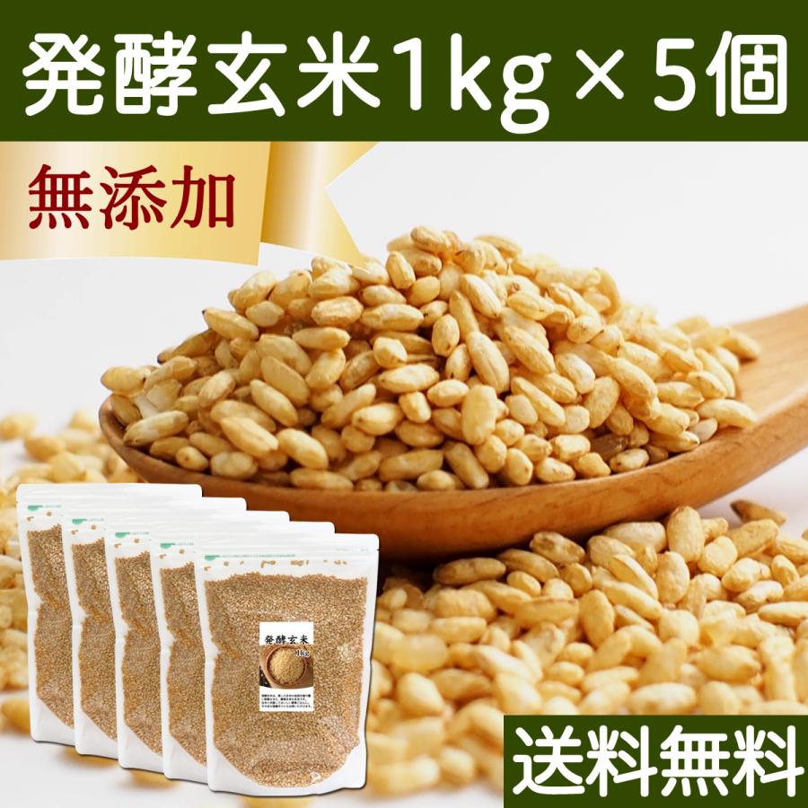 発酵玄米 1kg×5個 酵素玄米 寝かせ玄米 酵素ご飯 炊飯器で手軽に 送料無料