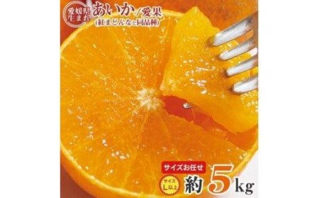 トロトロの果肉！あいか（愛媛果試第28号）5kg　ご家庭用