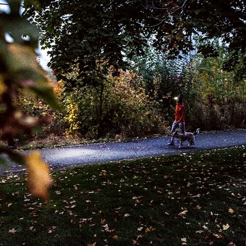 德國Ledlenser HF4R Core 充電式頭燈