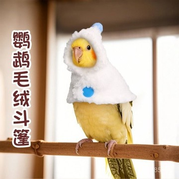 鸚鵡毛絨披風保暖鬥篷防風加厚虎皮玄鳳外出鸚鵡籠衣鸚鵡鬥篷遛鳥