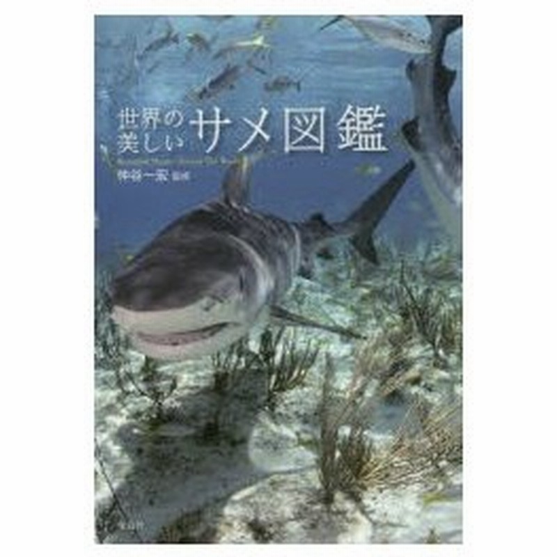 新品本 世界の美しいサメ図鑑 仲谷一宏 監修 通販 Lineポイント最大0 5 Get Lineショッピング