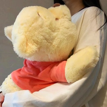 小熊噗噗維尼抱枕熊公仔玩偶娃娃毛絨玩具女生睡覺抱生日禮物超軟