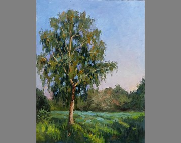 白樺樹繪畫原創藝術風景風景藝術品夏季藝術