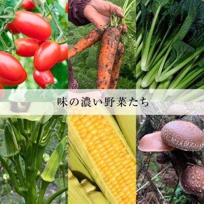 ふるさと納税 津和野町 島根県津和野産・採れたて旬の野菜詰め合わせセット[6〜8種セット]