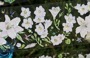 香雪 燕回 PET 紙膠帶 貝殼光 5米卷