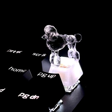 鍵帽, 狗, 貴賓犬, 透明, 清晰, 遊戲, 鍵盤, cherry MX