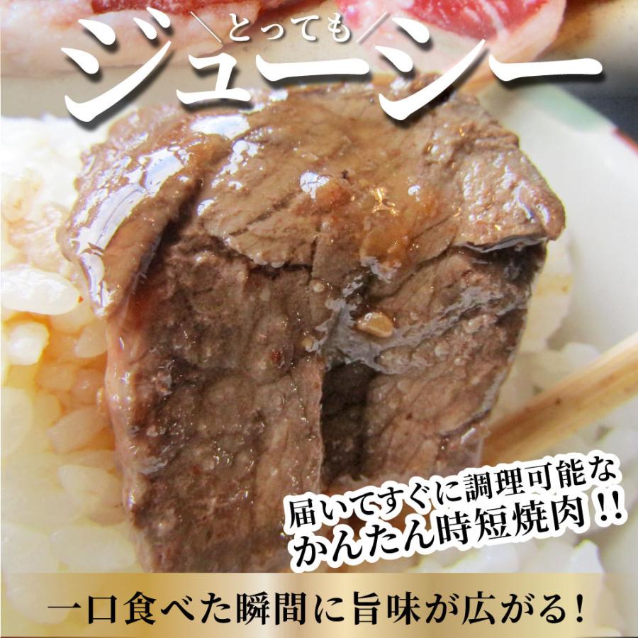 牛ハラミ焼肉（タレ漬け）500g（250g×2） タレ 赤身 はらみ 秘伝 焼肉 やきにく ハラミ アウトドア お家焼肉 BBQ キャンプ キャンプ飯