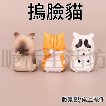 【現貨】微景觀/摀臉貓/貓咪/遮臉貓/園藝裝飾/桌面裝飾/蛋糕裝飾/酒櫃裝飾/多肉盆栽裝飾/橘貓/白貓/擋臉貓