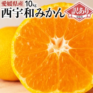 愛媛 西宇和みかん 訳あり 10kg S～Lサイズ混合…