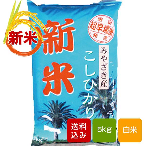 宮崎コシヒカリ 白米 5kg 2023年産新米 コメ 米 こめ