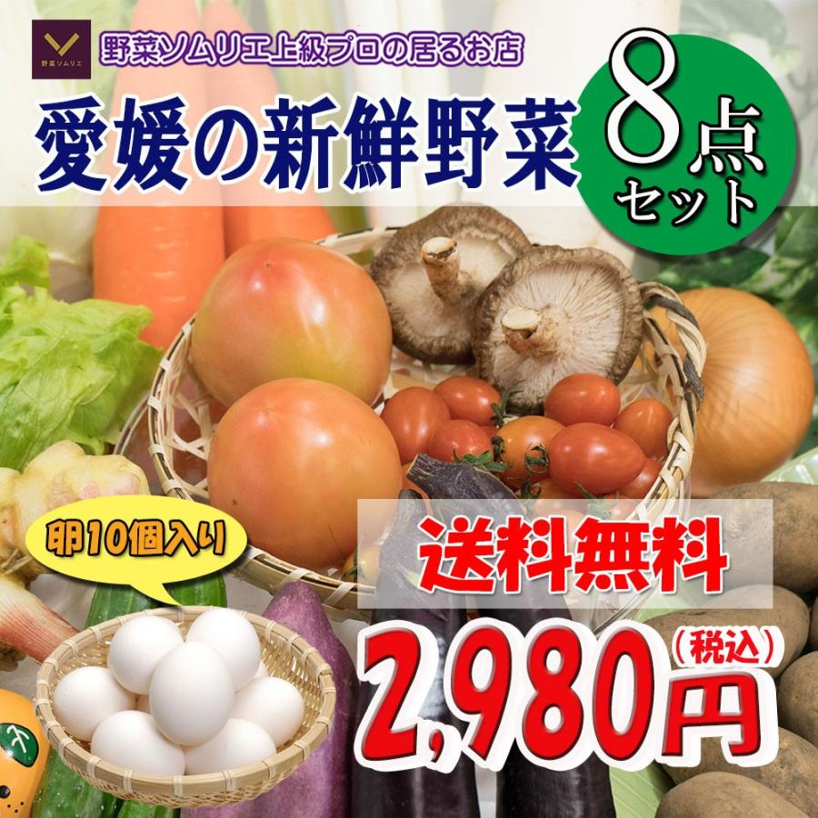 野菜詰め合わせ 野菜 詰め合わせ 福袋 8品 卵 10個入り 送料無料 冷蔵便