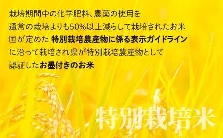 地球にやさしいパックご飯 10食入り× 3回　計30食　減農薬・減化学肥料 「特別栽培米」－地球にやさしいお米－[B-003010]