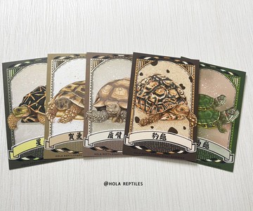 龜龜品種插畫明信片