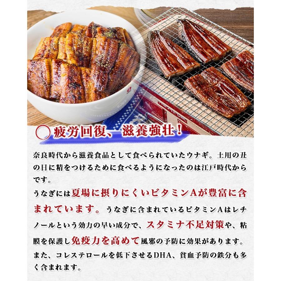 うなぎ 鰻 タレ付き 焼きウナギ 約880g (220g×4尾) 4本 特大 かば焼き 蒲焼き 中国産 冷凍便 ギフト お取り寄せ