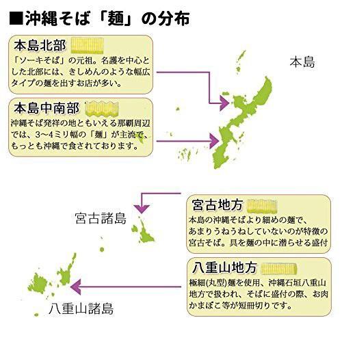 宮古そば (袋) 2食入り×5袋 シンコウ 沖縄 人気 琉球料理 定番 土産