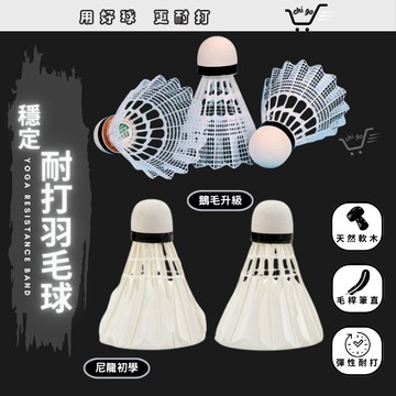 【🔥12小時出貨🔥】羽毛球 羽球 訓練用球 運動羽球 比賽羽球 高級羽球 塑膠羽毛球 鴨毛羽毛球 鵝毛羽毛球 耐打