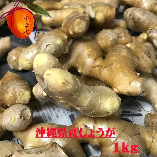 沖縄県産しょうが(生姜）１ｋｇ　