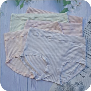 2XL~4XL 彈性特優透氣孔內褲 細緻柔軟 洞洞 條紋女生內褲 大碼加大尺碼 女性三角褲 3L XXL優選賣家6838