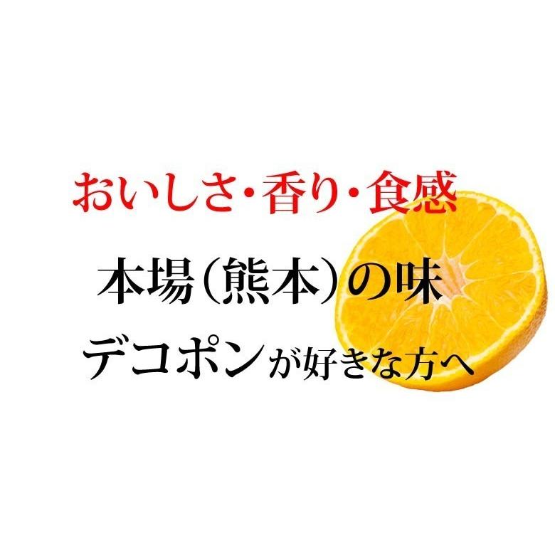 デコポン 同品種 デコみかん 訳あり 送料無料 4kg ハウス栽培 みかん 熊本県産 不知火 ミカン 蜜柑