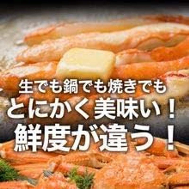 生ずわいかに しゃぶしゃぶ用 1kg 40本入り 生食OK 蟹刺身