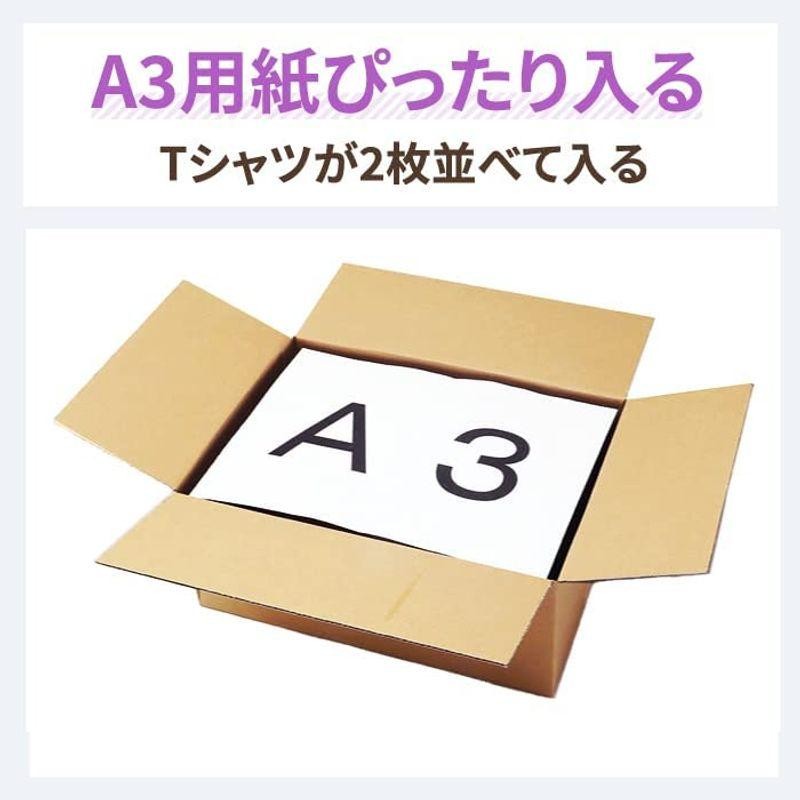 日本最級 1セット（60枚：20枚入×3 A3×高さ220mm アースダンボール ダンボール 段ボール SALE／83%OFF】 100サイズ 引越  宅配ダンボール 引っ越し A3 宅配 発送 50枚 440×310×180mm0493