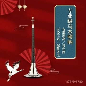 獨家正品🔥嗩吶 嗩吶為王 嗩吶樂器 烏木 專業者 初學者 專業烏木全套嗩吶樂器初學者D調演奏鎖吶兒童大小號喇叭哨片包郵