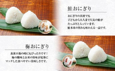 ES355 (M-34)おにぎり 笹おこわ コシヒカリ 4種食べ比べ 80g×計8個 魚沼産 鮭 梅 おむすび 赤飯 五目 おこわ 冷凍 こしひかり ごはん ご飯 冷凍保存 新潟県産 魚沼 国産 おやつ 夜食 精米 米 お米 こめ コメ めし徳 新潟県 南魚沼市