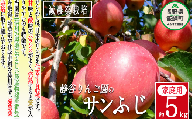 りんご サンふじ 家庭用 5kg 沖縄県への配送不可 2023年12月中旬から2024年2月上旬まで順次発送予定 令和5年度収穫分 静谷りんご園 減農薬栽培 信州の環境にやさしい農産物認証 長野県 飯綱町 [0876]