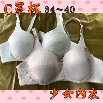 『A&J』#306C台灣製 成長型軟鋼圈 少女型學生型棉質內衣👙 C罩杯34～40