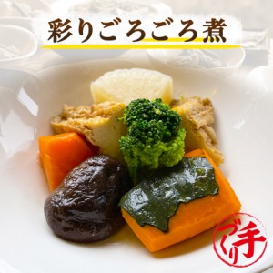 彩りごろごろ煮 150g ギフト 惣菜 手作り 煮物 取り寄せ お弁当 冷凍 レトルト お試し グルメ 京惣菜 肉 魚 野菜 和風 洋風 中華 在宅 応