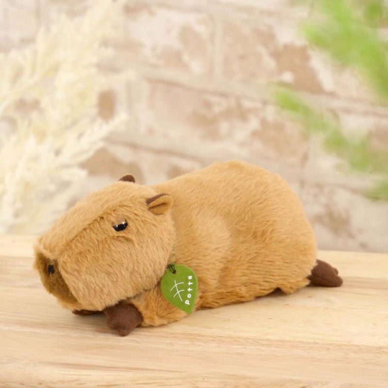 ぱっちリス SlowItDown-multi.jpg?v=