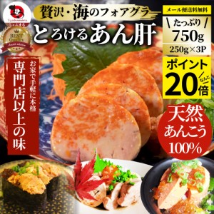 おつまみ 珍味 あん肝 750g(250g×3) あんきも 酒 酒のつまみ 酒のアテ 肴 家飲み 一品 付き出し お取り寄せ メール便送料無料