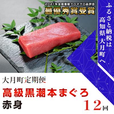 ふるさと納税 大月町 高知県 大月町産『黒潮本マグロ』赤身 計12回