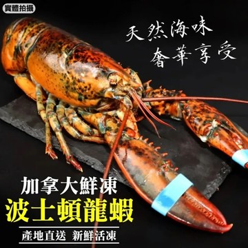 【海肉管家】加拿大波士頓龍蝦(2隻_400-500g/隻)