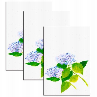 はがき あじさい 梅雨 花きらら 葉書 Fps 701 紫陽花 あじさい 3枚入 ハガキ 和紙 イラスト 出産 結婚 内祝い 母の日 父の日 お礼状 通販 Lineポイント最大0 5 Get Lineショッピング
