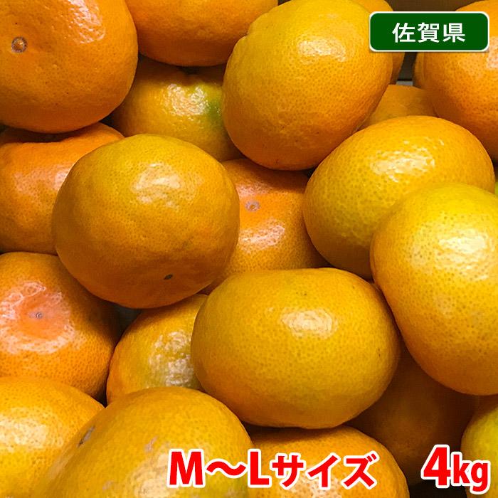 佐賀県産　あんみつみかん （あんみつ姫） 秀品　M〜Lサイズ　4kg（箱）